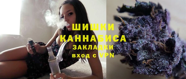 крисы Верхний Тагил