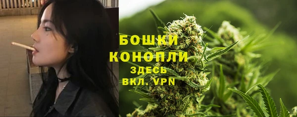 стафф Верея