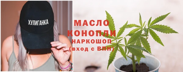 крисы Верхний Тагил