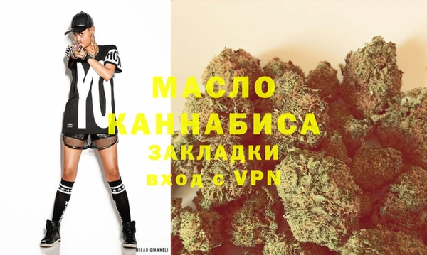 крисы Верхний Тагил
