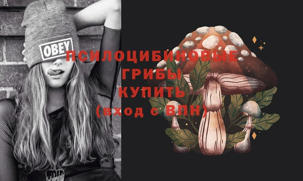крисы Верхний Тагил