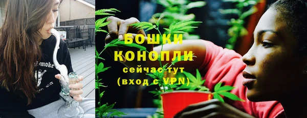 крисы Верхний Тагил
