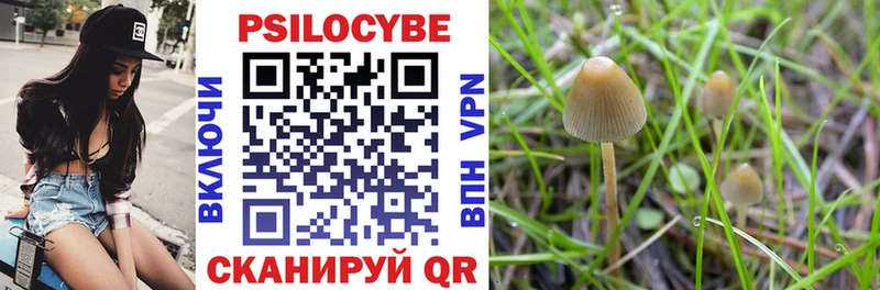 Галлюциногенные грибы Cubensis  где можно купить   Волоколамск 