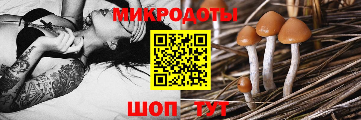 Галлюциногенные грибы MAGIC MUSHROOMS  Вход с VPN  Волоколамск 