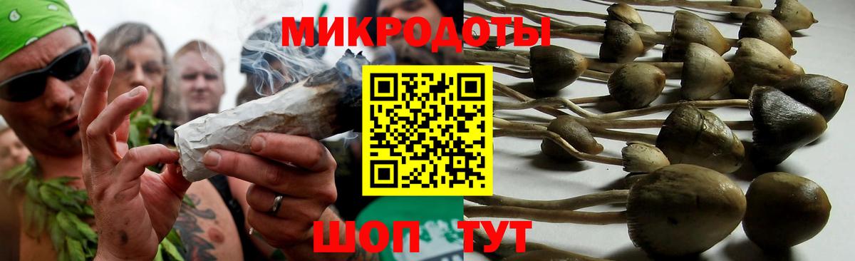 Галлюциногенные грибы MAGIC MUSHROOMS Волоколамск